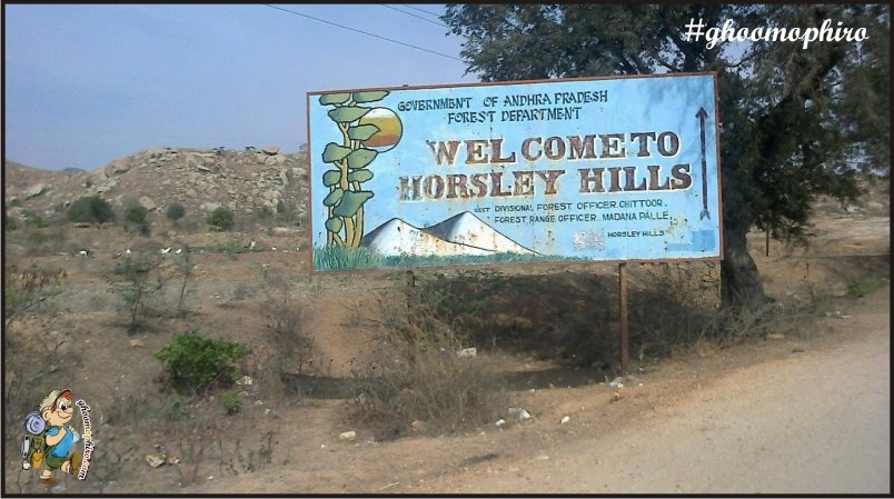 Horsley hills